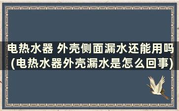 电热水器 外壳侧面漏水还能用吗(电热水器外壳漏水是怎么回事)